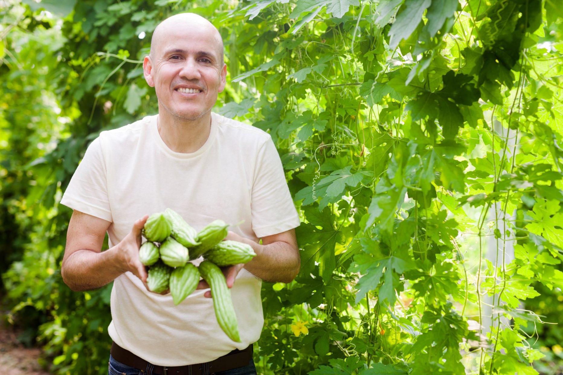 Gorzki melon – silne mięśnie, zdrowa prostata﻿